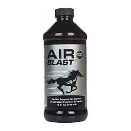 Air Blast Herbal Support for Equine Respiratory Health  Equiade